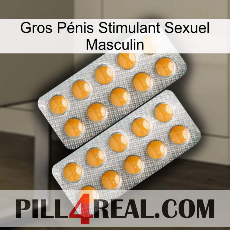 Gros Pénis Stimulant Sexuel Masculin levitra2